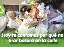 Hoy te contamos por qué no tirar basura en la calle